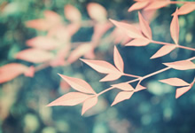 微短剧千亿市场迎拐点：从“爽感疲劳”到“价值共鸣”的破局之道