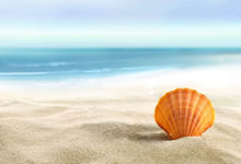 教练技术课程到底有没有用？一位学员的真实蜕变故事告诉你答案