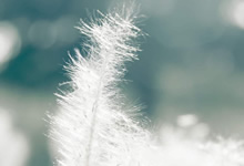 格力再创变频芯纪元！新专利攻克小电容电压稳定世界难题