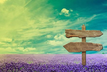 鸣茂安科技：引领AI时代的软件与信息技术解决方案专家